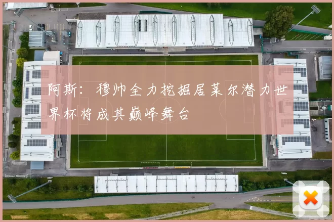 阿斯：穆帅全力挖掘居莱尔潜力世界杯将成其巅峰舞台